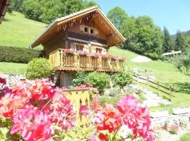 Chalet Fleur des Neiges