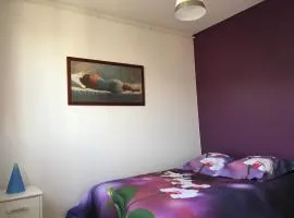 APPARTEMENT Deux chambres Salon Parking Rouen Kindarena