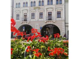 Hotel Zlatý Anděl: Žatec şehrinde bir otel