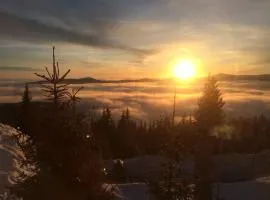 Casa de vacanta trei brazi