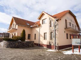 Camere de închiriat Hătuica, hotel pro pobyt s domácími mazlíčky v destinaci Hătuica