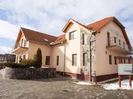 Camere de închiriat Hătuica