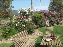 Il Vecchioliveto di Ornella, B&B in Marrùbiu