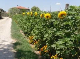 Agriturismo San Rocco