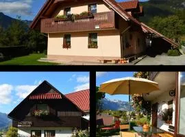 Apartmaji BOHINJ