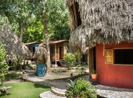 Alice Guesthouse