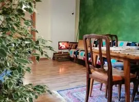 Cozy bohemian apartment