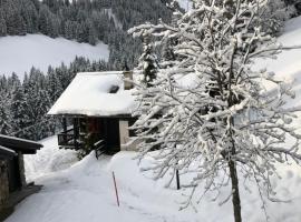 Chalet LYS Apartment 14 Rue Sigma, hotel in Champoussin