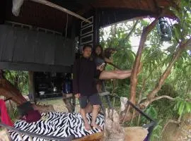 Abe tree house