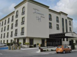 Hotel Alameda Express, hotell i Matamoros