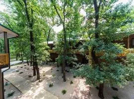 База отдыха Дубки