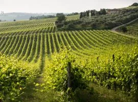 Tenuta Di Monaciano