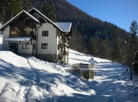 Cabana Caprioara - Piatra Craiului