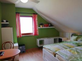 Privatzimmer mit Aussicht, sted med privat overnatting i Pirna