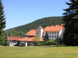 Waldhotel Berghof Thüringer Wald, hotel en Luisenthal
