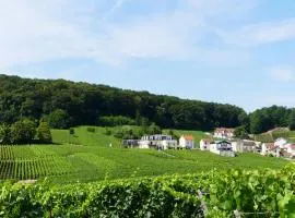 B&B en Champagne