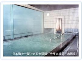 taiseisou, hotel v destinaci Niigata
