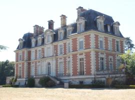 Orchaise에 위치한 주차 가능한 호텔 Chateau du Guérinet D'Orchaise