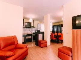 Spacious Apartment near Peles