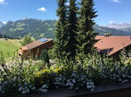 Cala Sol, hotel in Gstaad