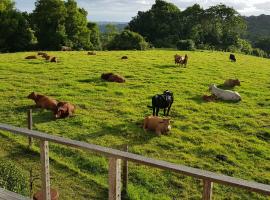 "Seasons of Maleny B&B", bed & breakfast kohteessa Maleny