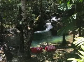 Daintree Secrets Rainforest Sanctuary