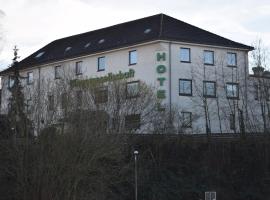 Hotel Bürgergesellschaft, hotel in Betzdorf