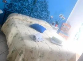 B&B Anny
