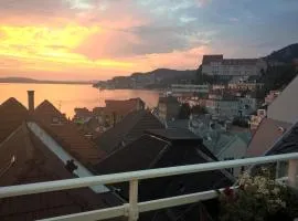Penthouse with perfect location and spectacular view