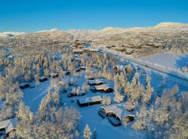 Knuts Hyttegrend, lodge in Beitostøl