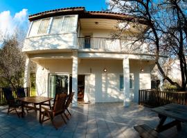 Forest Park Villa, vacation home in Lemithou