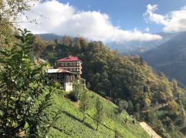 Gunguli Pansiyon, Hotel in Kukunat