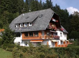 Hotel-Pension Thomé, pensión en Hinterzarten