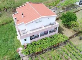 Vržina Farm House Skadar Lake, hótel í Virpazar