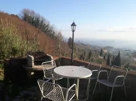 Amazing house