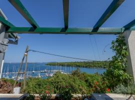 Holiday home near lighthouse - yard, holiday home in Veli Rat