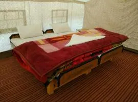 The Buddha Camp - Pangng