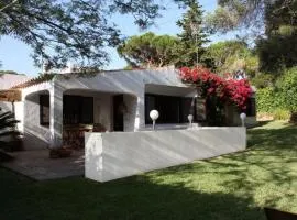 Vila 67