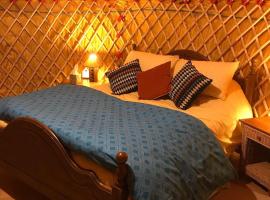 McClure Yurt at Carrigeen Glamping, hotel in Kilkenny