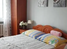 APARTAMENT CENTRUM MIASTA