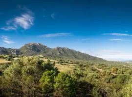 Case Vacanze S'Arrexina