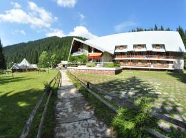 Synevyrske Ozero, Hotel in Synewyrska Poljana