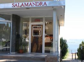 Salamandra Apartamentos, family hotel in El Calafate