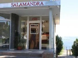 Salamandra Apartamentos