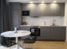 Spacious apartment close to the Old Town