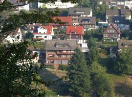 Haus Krick, hotell i Alpirsbach