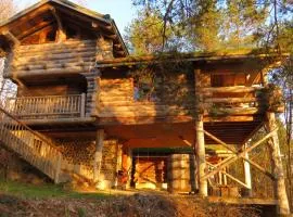 La cabane de Hans