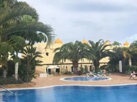 60 El Sultan, 20 Pedroy Guy Vandaele