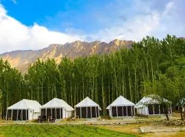 Terrain Ladakh Camping