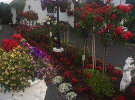Teresas Cottage, hotell i Donegal